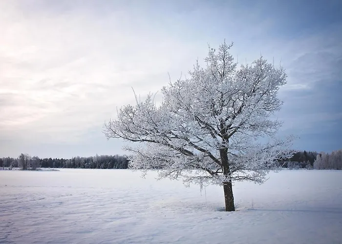 Гостевой дом Manor *